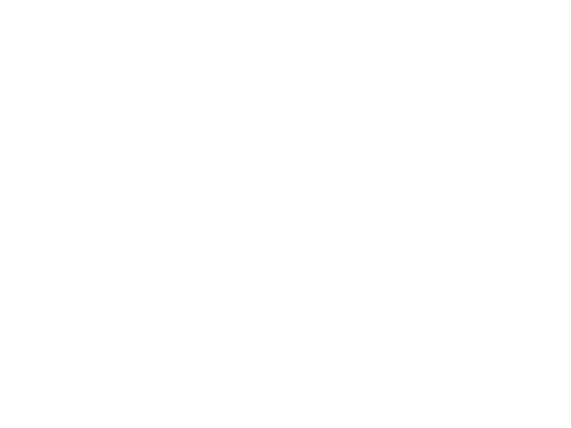 epal-repair.png