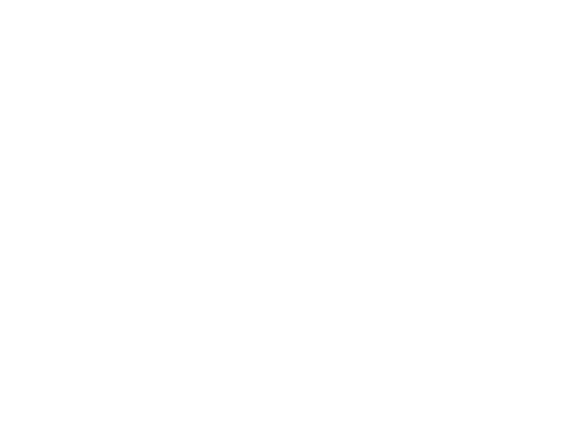 fsc.png