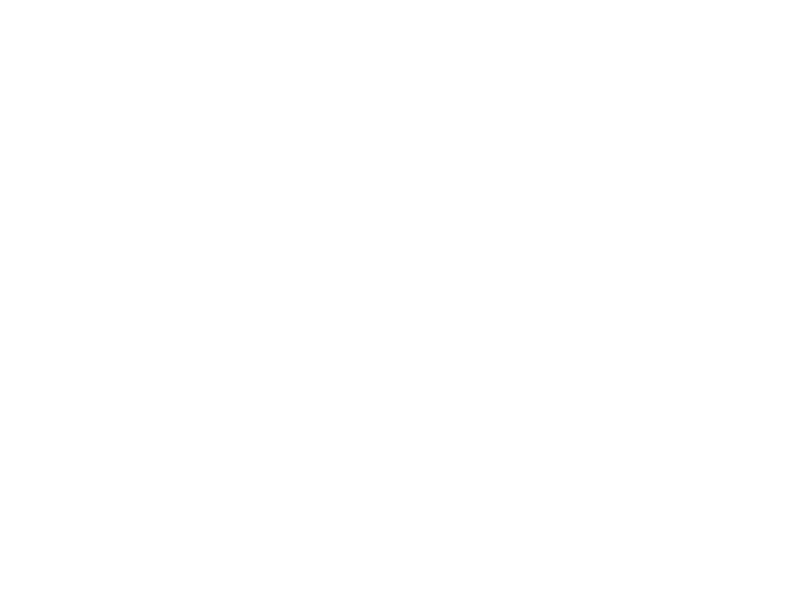 FSC - RINA-COC-001620