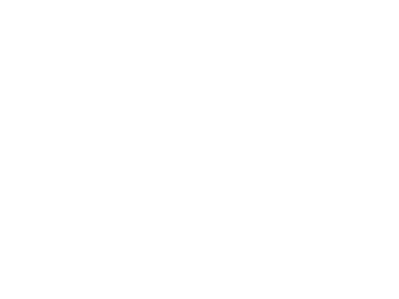 IPPC 15 - CV 001